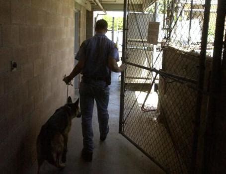 martinez animal shelter euthanized